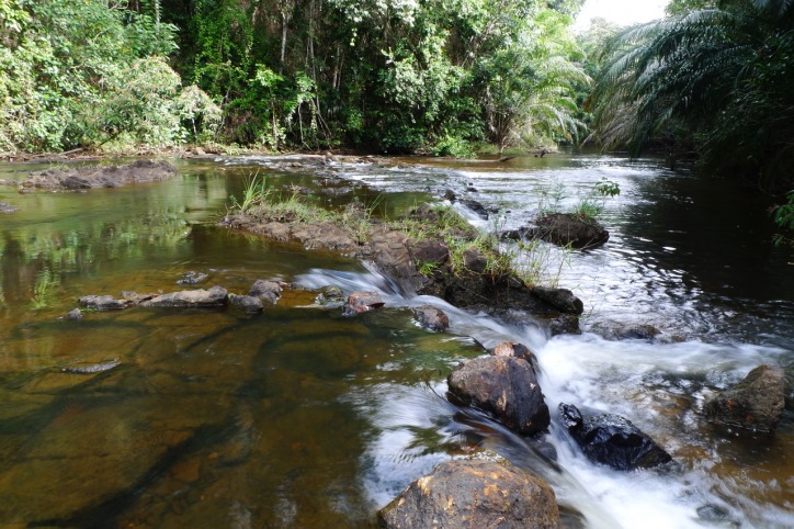 Belíssima área rural entre Ilhéus e Serra Grande