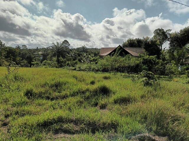 Área para Venda em Uruçuca - 4