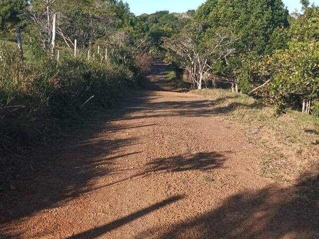 Chácara para Venda em Uruçuca - 4