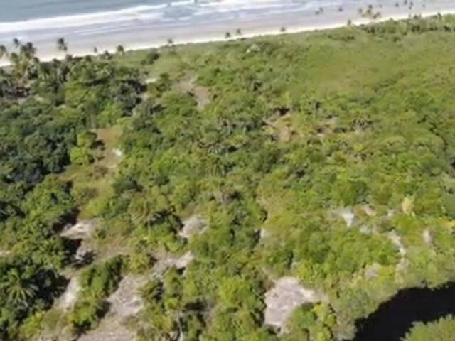 Área para Venda em Uruçuca - 5