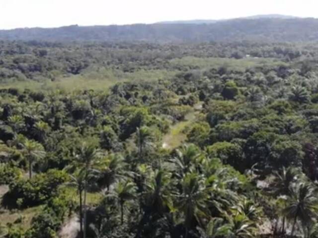 Área para Venda em Uruçuca - 4