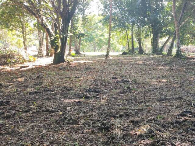 Terreno para Venda em Uruçuca - 4