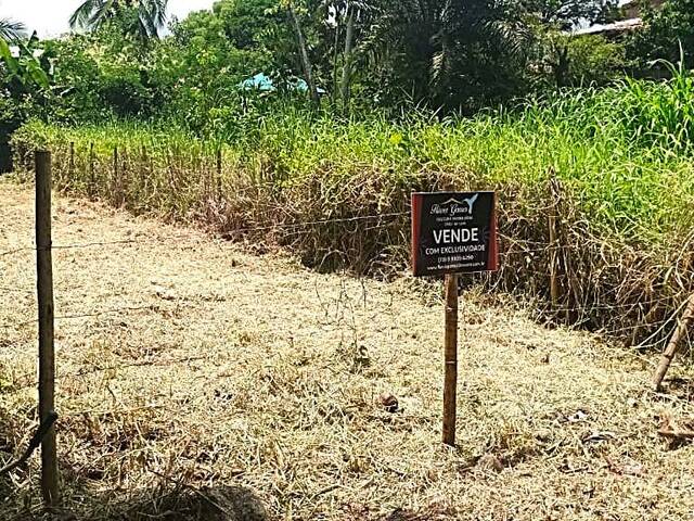 Terreno para Venda em Uruçuca - 4