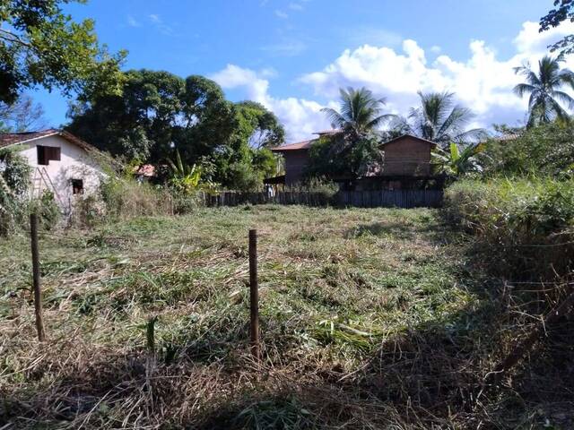 Terreno para Venda em Uruçuca - 5