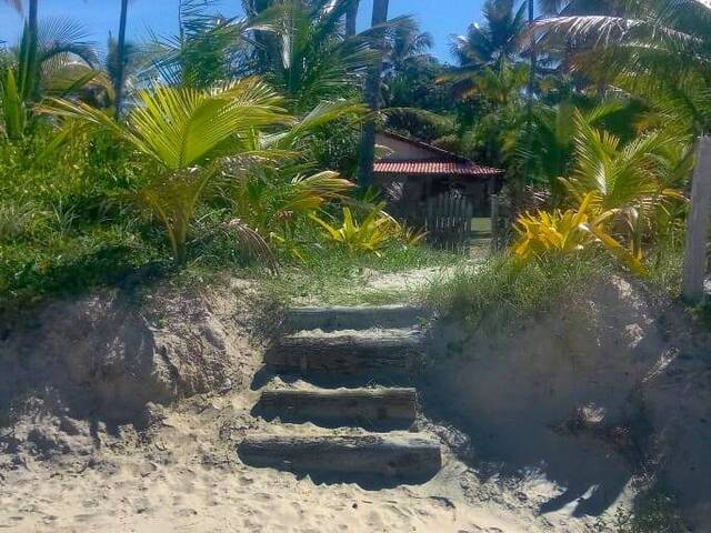 #201 - Casa para Venda em Uruçuca - BA - 3