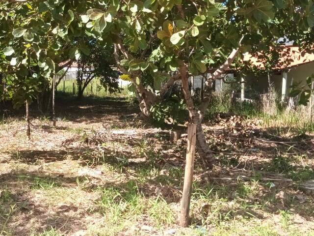 Área para Venda em Uruçuca - 4