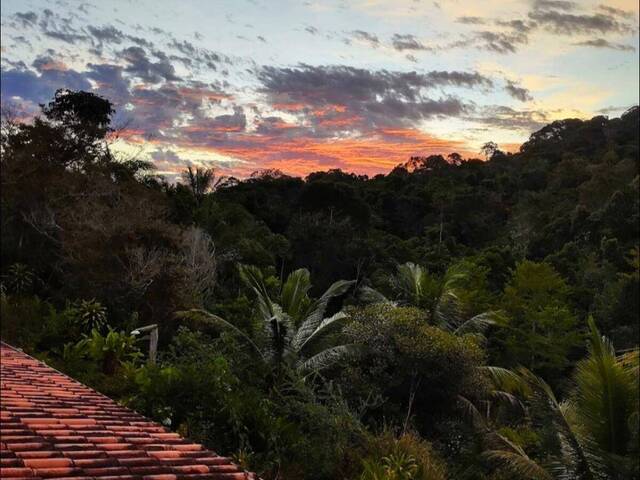 #211 - Sítio para Venda em Itacaré - BA