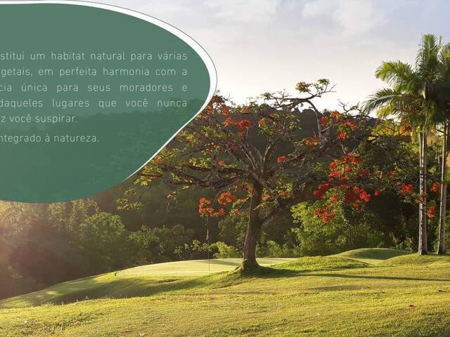 Sítio para Venda em Uruçuca - 3