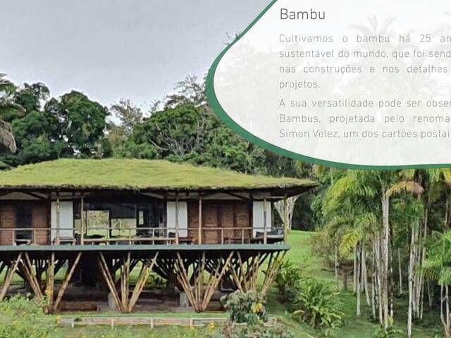 Sítio para Venda em Uruçuca - 2