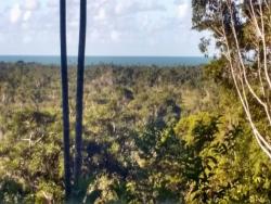 #20 - Fazenda para Venda em Uruçuca - BA - 2