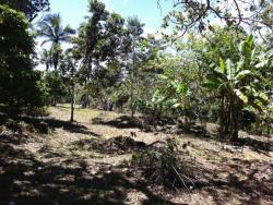 #78 - Fazenda para Venda em Ilhéus - BA - 3