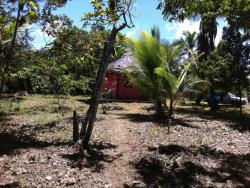 Fazenda para Venda em Ilhéus - 4