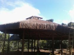 Fazenda para Venda em Ilhéus - 5