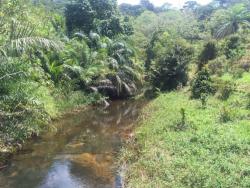 Venda em Águas Claras - Uruçuca