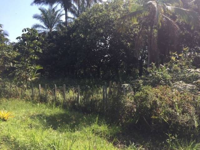 #84 - Terreno para Venda em Ilhéus - BA - 2