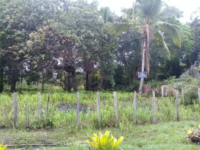 #84 - Terreno para Venda em Ilhéus - BA - 1