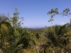 Venda em Aritaguá - Ilhéus