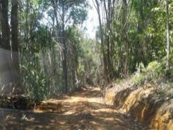 #17 - Fazenda para Venda em Ilhéus - BA