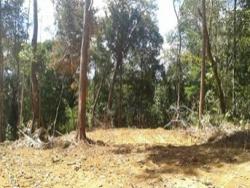 Fazenda para Venda em Ilhéus - 4